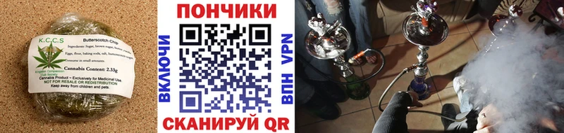 где можно купить наркотик  KRAKEN онион  Еда ТГК конопля  Михайловск 