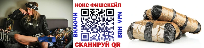где продают наркотики  Михайловск  КОКАИН FishScale 