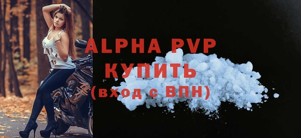 ГАЛЛЮЦИНОГЕННЫЕ ГРИБЫ Инта