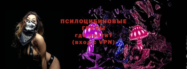 ГАЛЛЮЦИНОГЕННЫЕ ГРИБЫ Инта