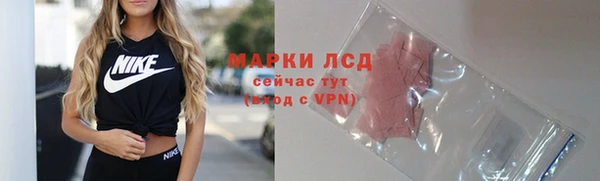 эйфоретик Инсар