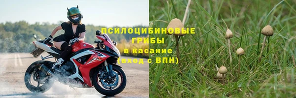 эйфоретик Инсар