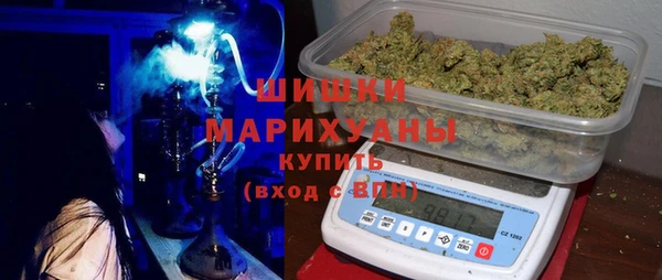 ГАЛЛЮЦИНОГЕННЫЕ ГРИБЫ Инта