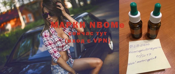 эйфоретик Инсар