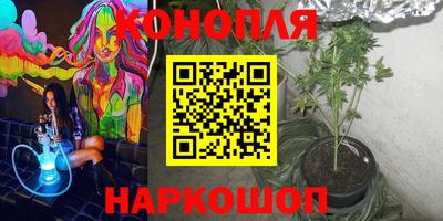 стафф Пенза