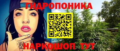 стафф Пенза