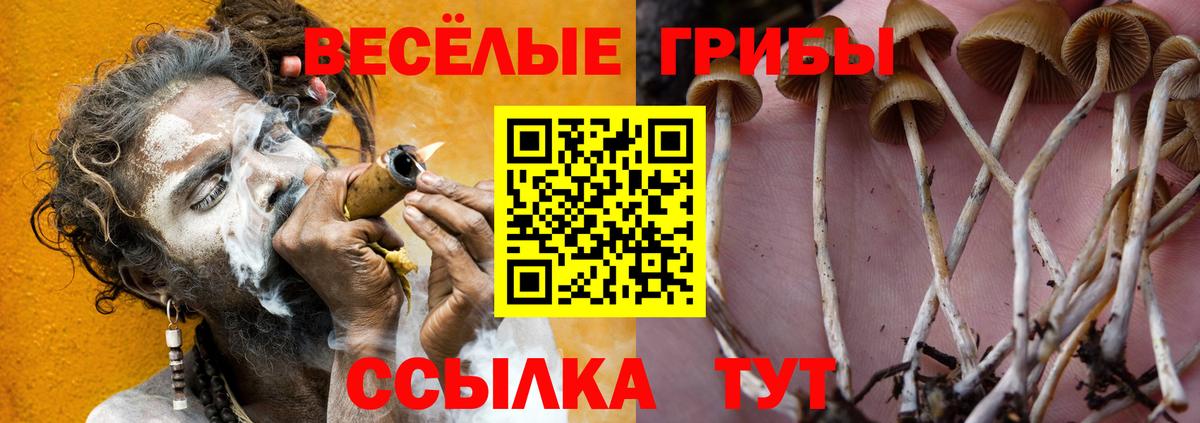 Михайловск  Галлюциногенные грибы MAGIC MUSHROOMS  Галлюциногенные грибы MAGIC MUSHROOMS  Вход с VPN 