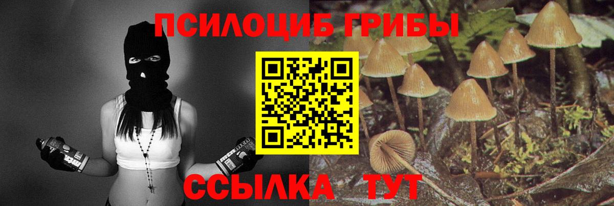Псилоцибиновые грибы мицелий Михайловск