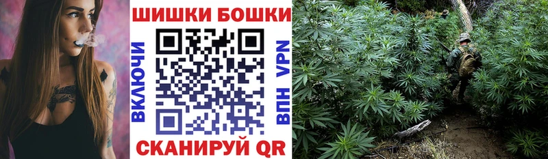 Бошки марихуана MAZAR  магазин продажи   Михайловск 